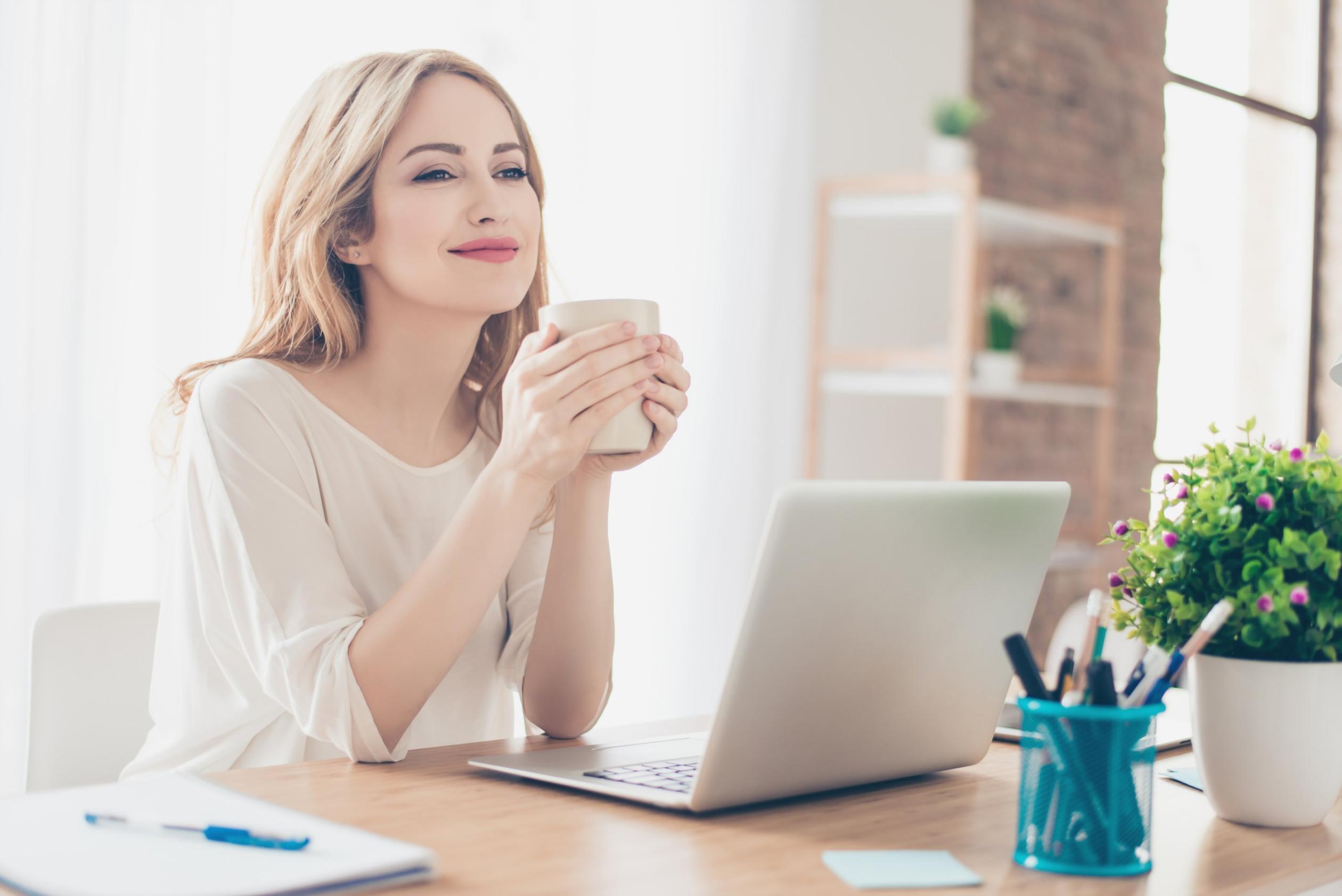 Проєкт макрофотографії комах